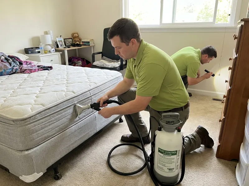Bed Bug Treatment in Laurel, MD